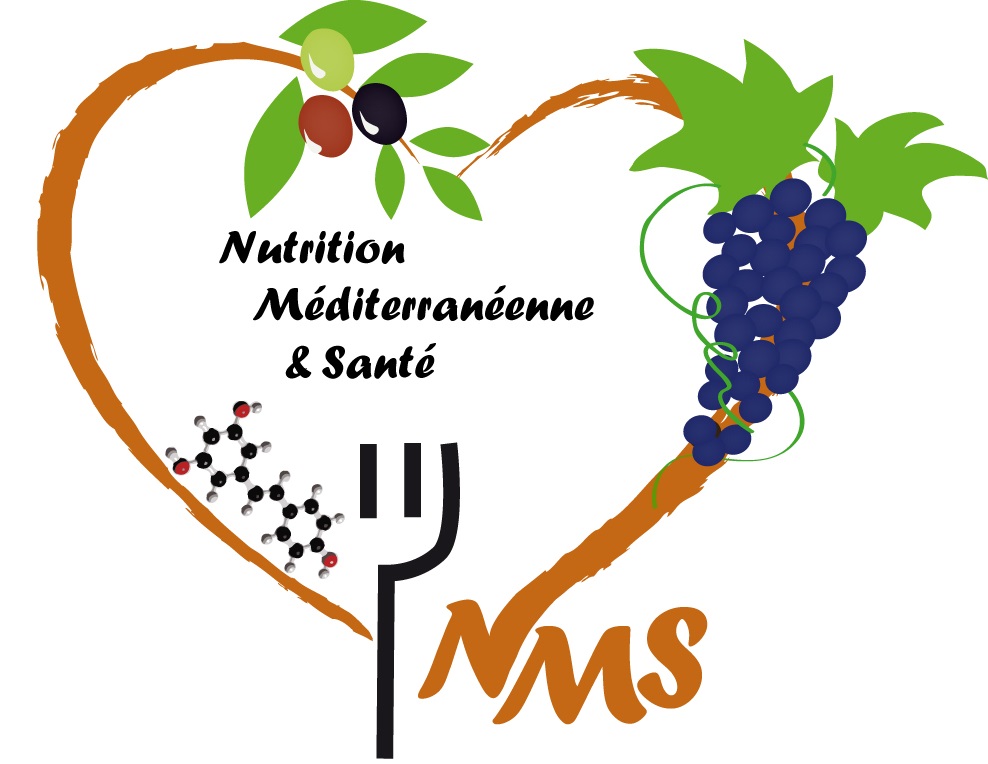 logo NMS
